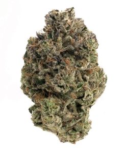 Gas Mask(AAA)
