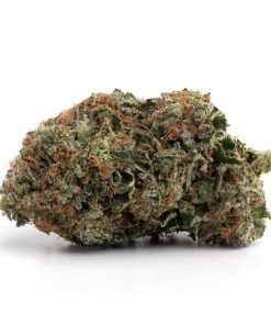 Hindu Kush(AAA+)